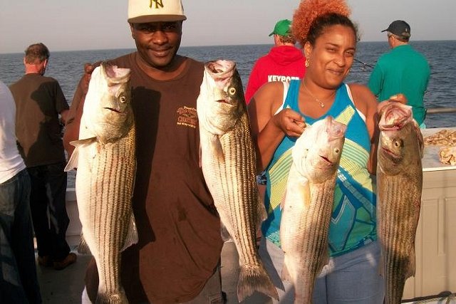 my first stripe bass 2010